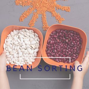 Bean Counting